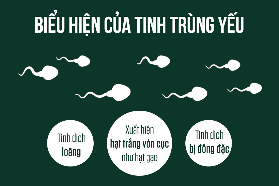Chất lượng tinh trùng kém khiến khả năng thụ thai giảm