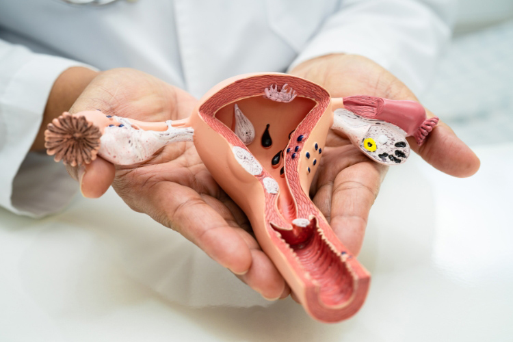 Chủ động soi cổ tử cung - Bước bảo vệ sức khỏe sinh sản lâu dài