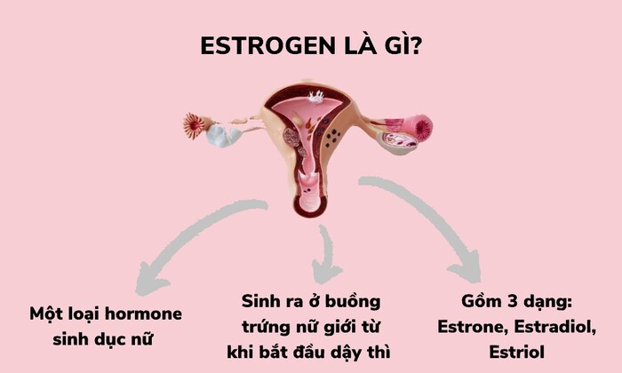 Estrogen giúp duy trì vẻ đẹp, sức sống và tâm lý của phái đẹp